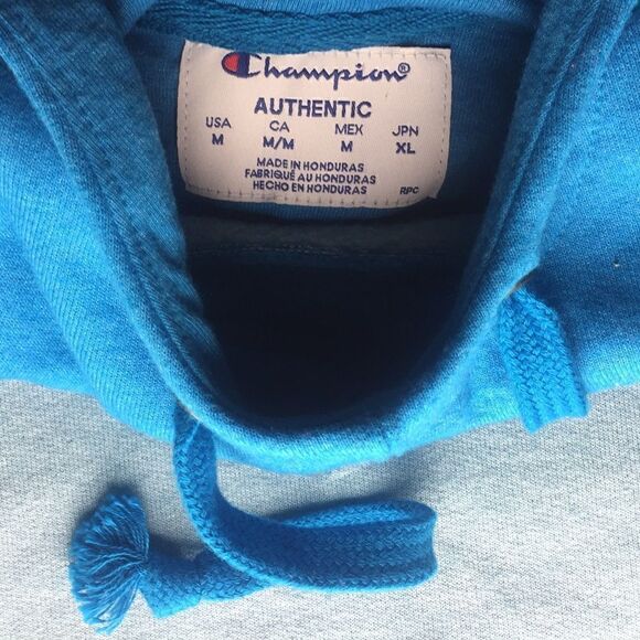 Champion Colorblock Hoodie Sweater  - Picture 4 of 5